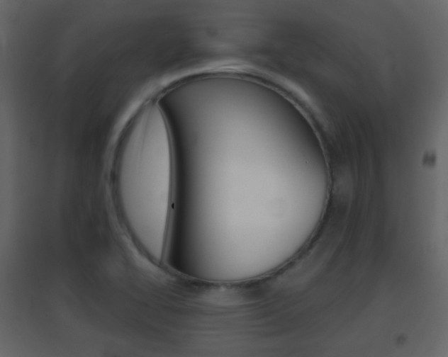 X0000096691414200802051026