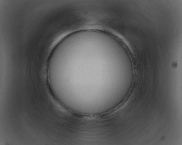 X0000096691415200802051026