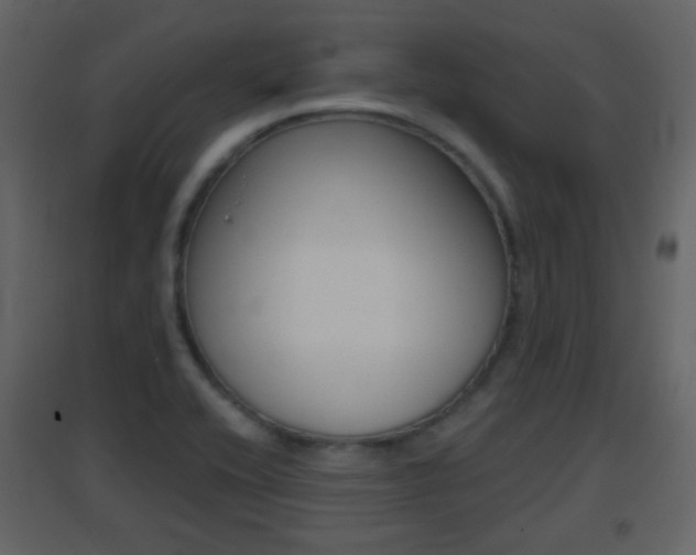 X0000096691416200802051026