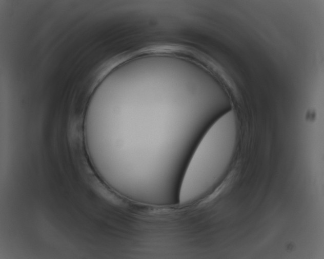 X0000096691417200802051026