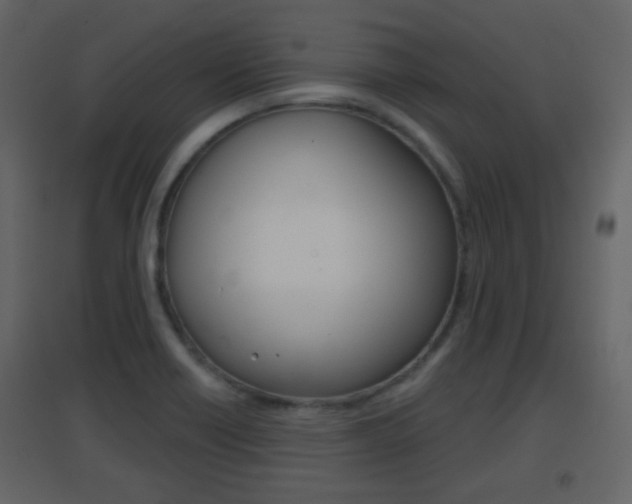 X0000096691418200802051026