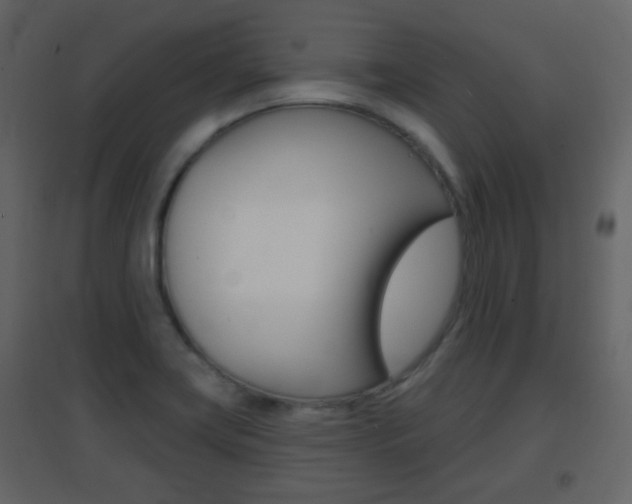 X0000096691419200802051026