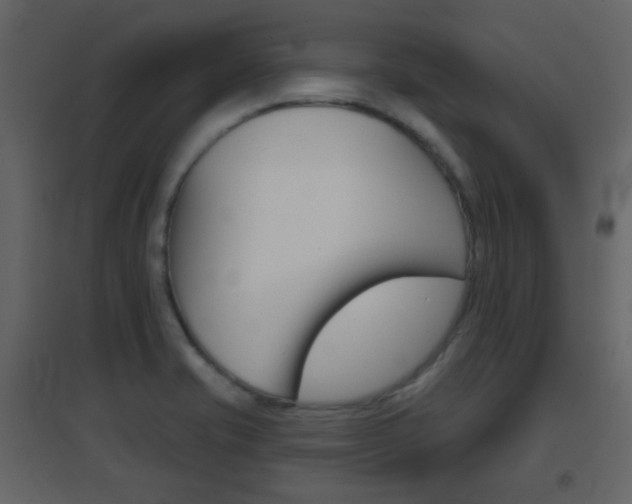 X0000096691421200802051026