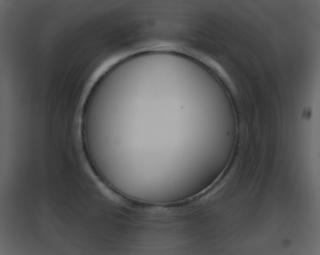 X0000096691424200802051026