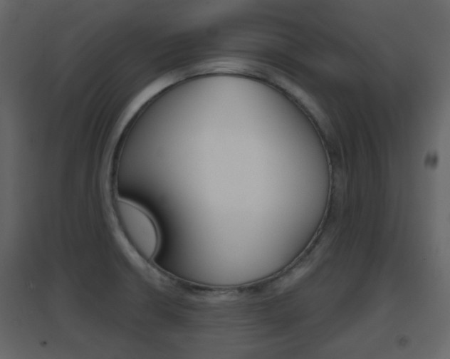 X0000096691426200802051026
