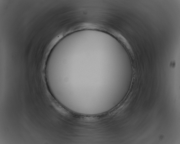 X0000096691427200802051026