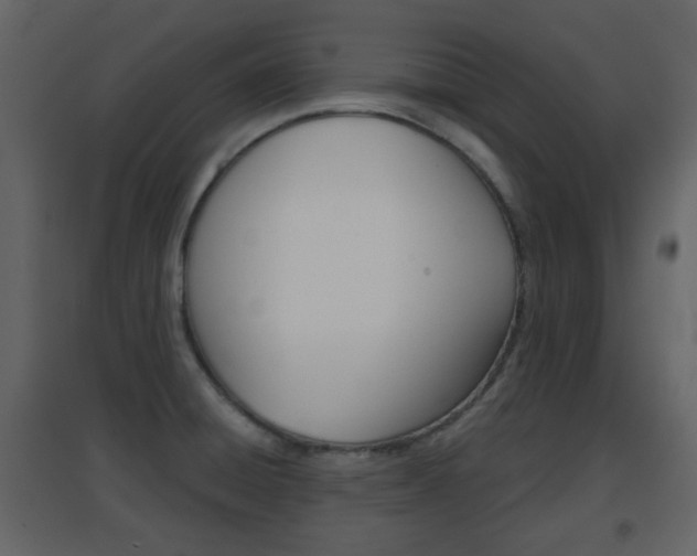 X0000096691428200802051026