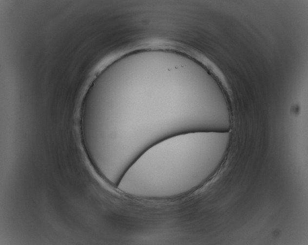 X0000096691429200802051026
