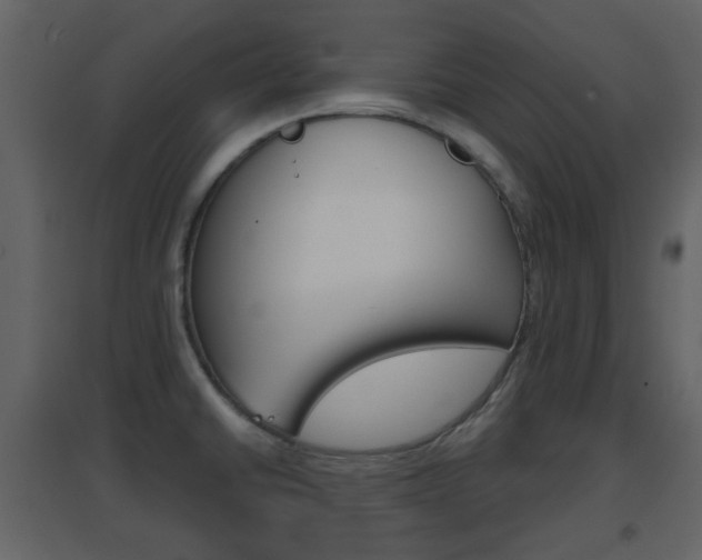 X0000096691430200802051026