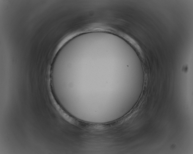X0000096691431200802051026