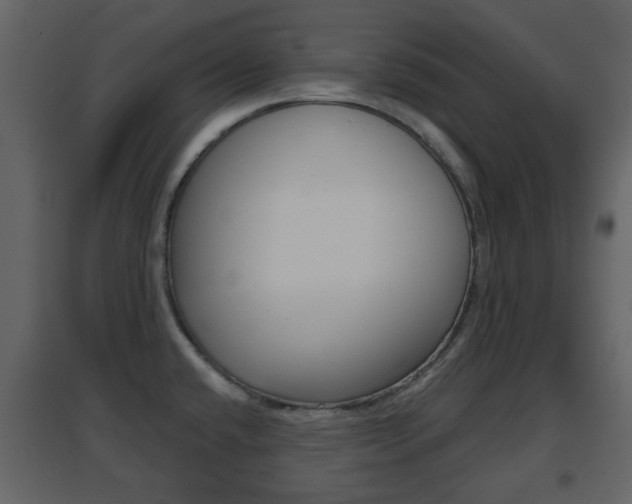 X0000096691432200802051026
