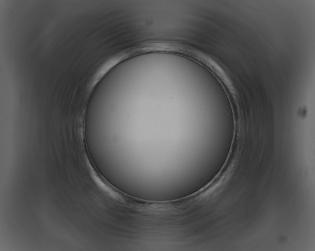 X0000096691433200802051026