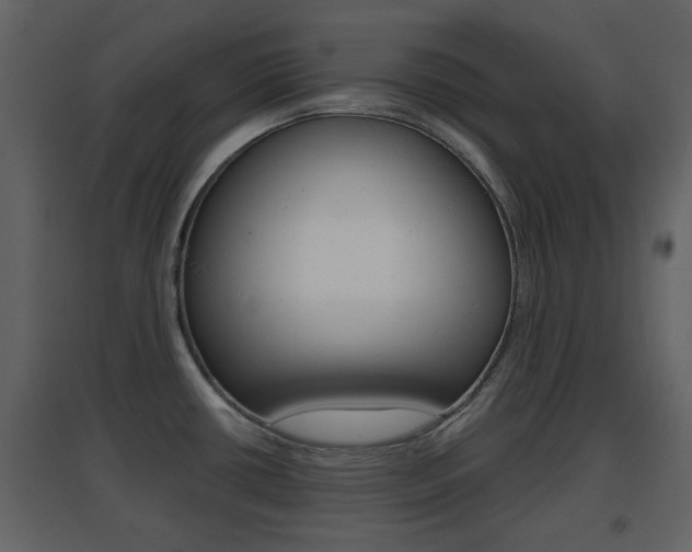 X0000096691434200802051026