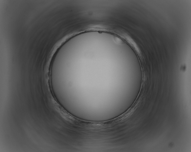 X0000096691435200802051026