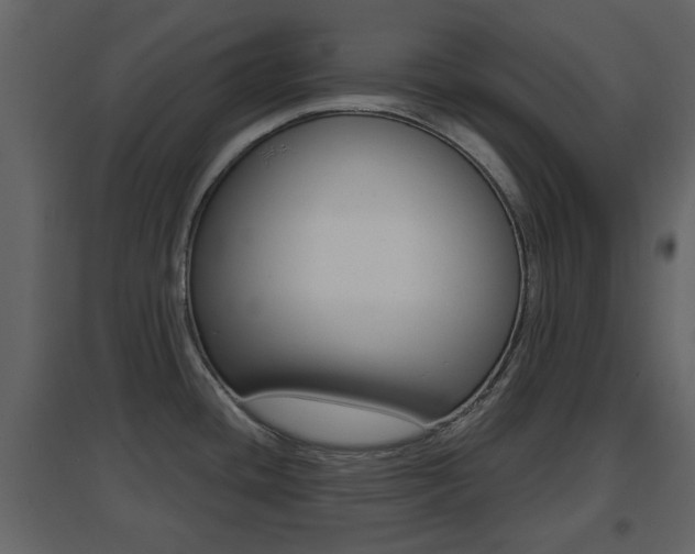 X0000096691436200802051026