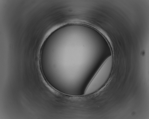 X0000096691437200802051026