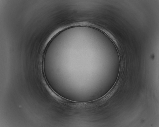 X0000096691438200802051026