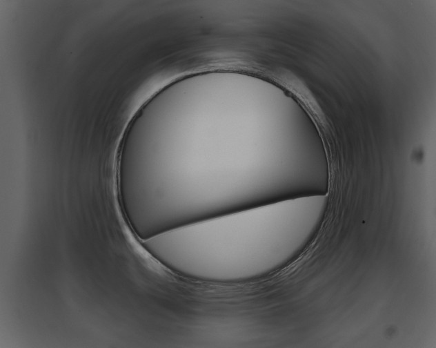 X0000096691439200802051027