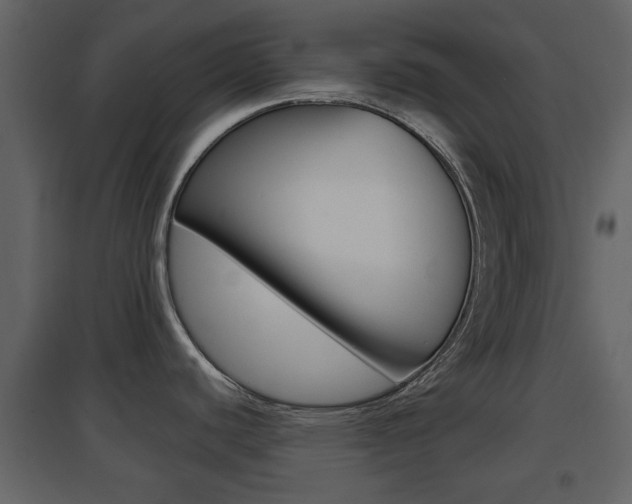 X0000096691440200802051027