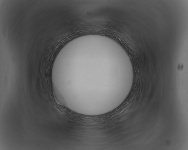 X0000096691441200802051026