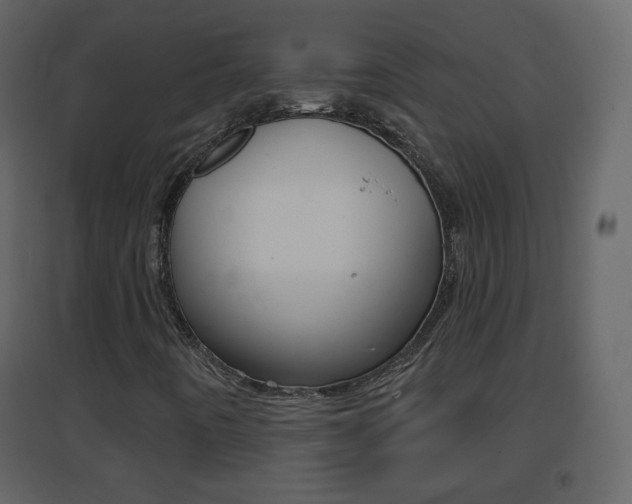X0000096691442200802051026