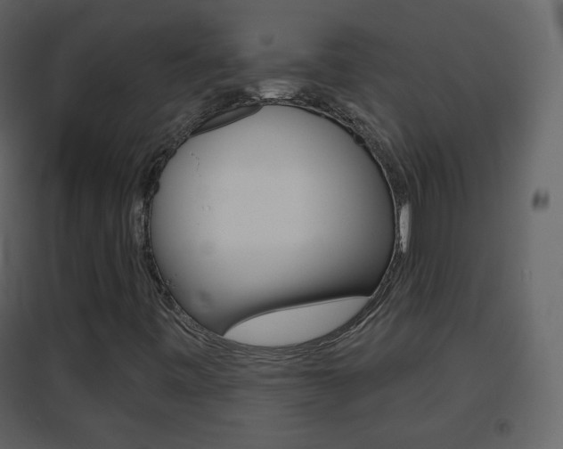 X0000096691443200802051026