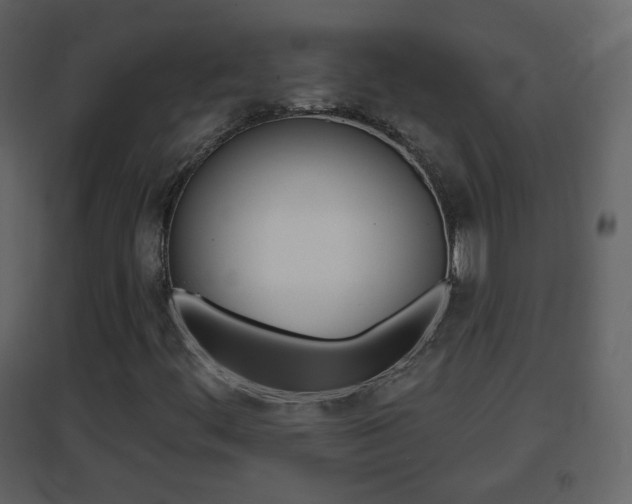 X0000096691444200802051026