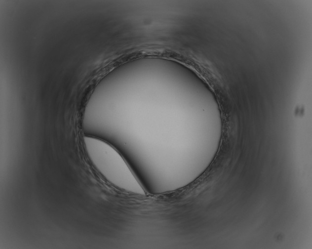X0000096691445200802051026