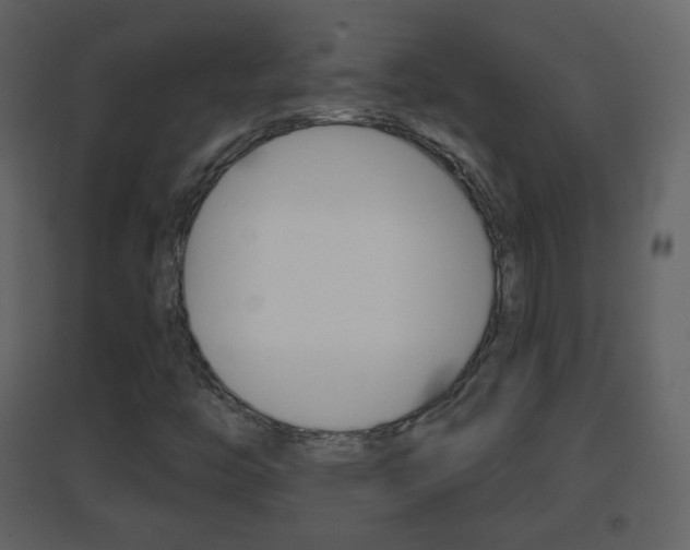 X0000096691446200802051026