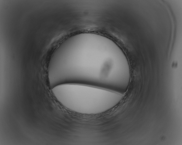 X0000096691447200802051026