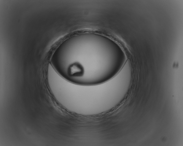 X0000096691448200802051026