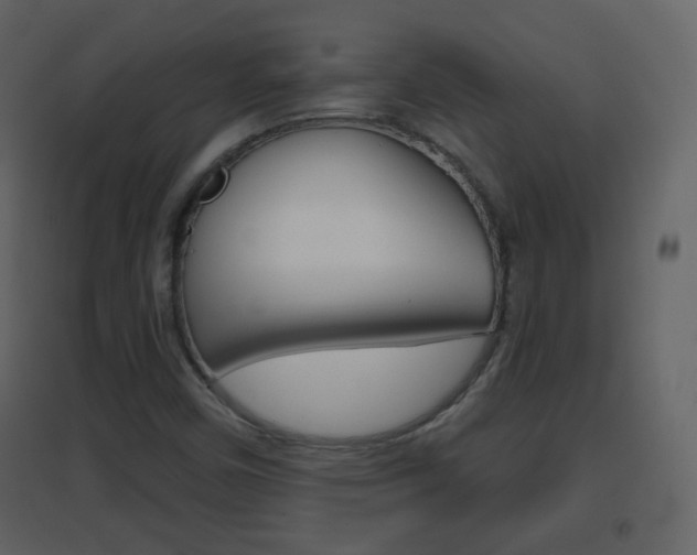 X0000096691450200802051026