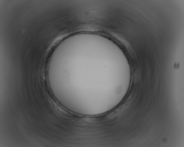 X0000096691451200802051026