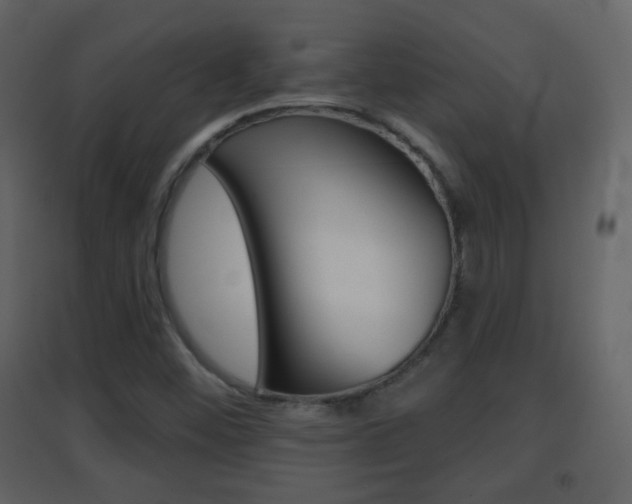 X0000096691452200802051026