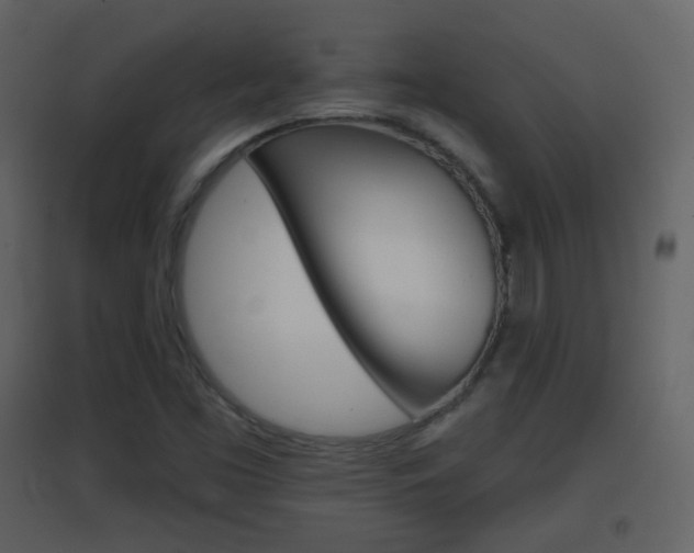 X0000096691453200802051026