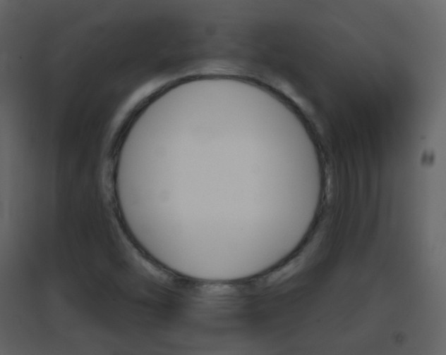 X0000096691454200802051026