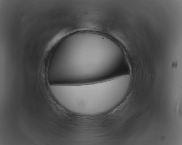 X0000096691455200802051026