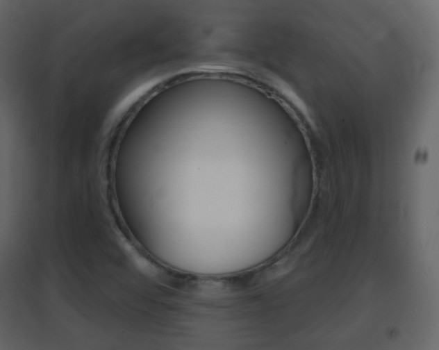 X0000096691456200802051026