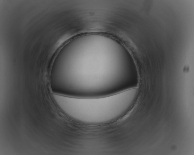 X0000096691457200802051026