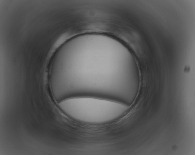 X0000096691459200802051026