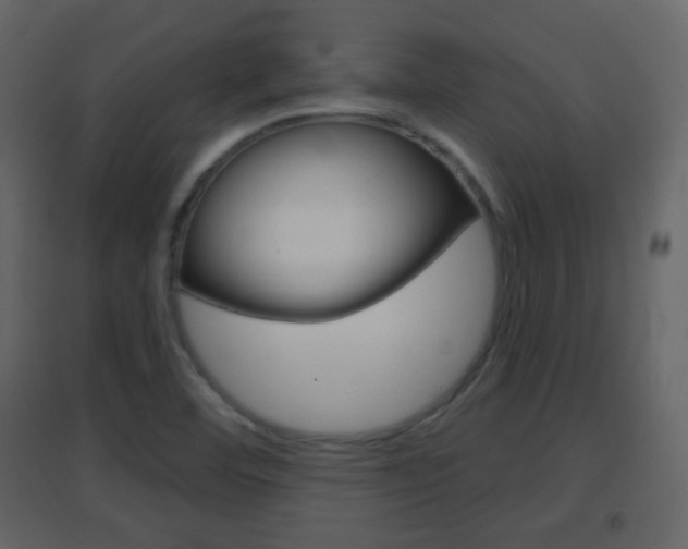 X0000096691460200802051026