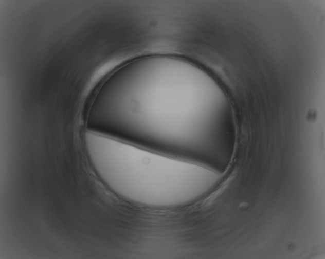 X0000096691461200802051026