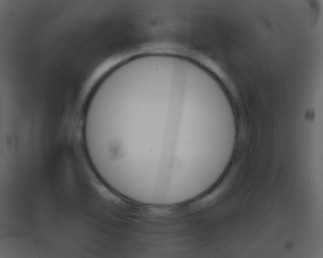 X0000096691462200802051026