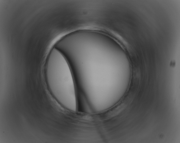 X0000096691463200802051026
