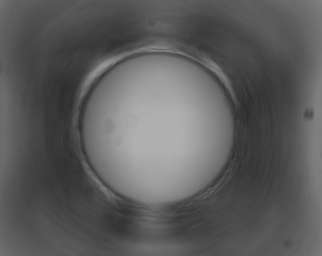 X0000096691464200802051026