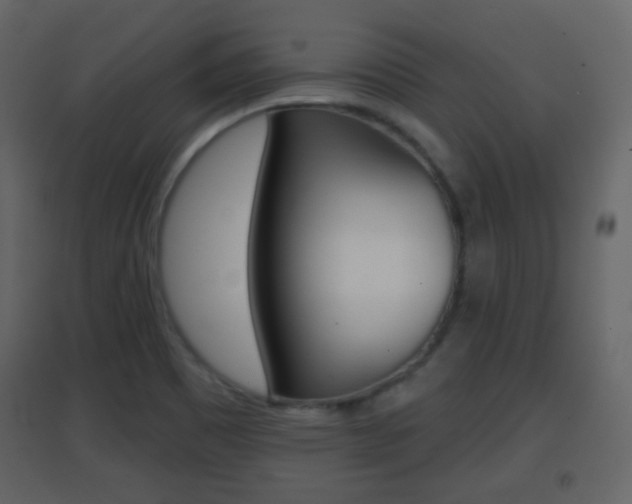 X0000096691465200802051026