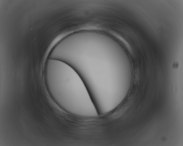 X0000096691467200802051025