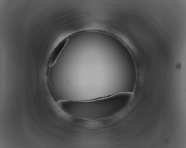 X0000096691468200802051025