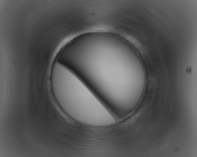 X0000096691469200802051025