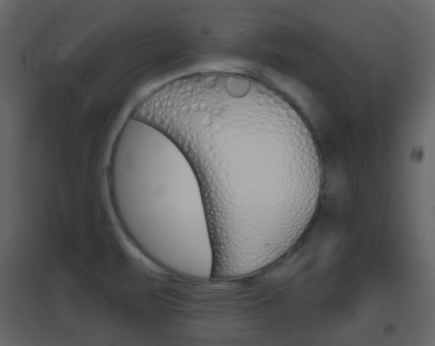 X0000096691471200802051025
